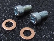 Triumph Tiger Cub 57-1553 70-2441 Engine Crankcase Oilway Plug & Washer x2 '