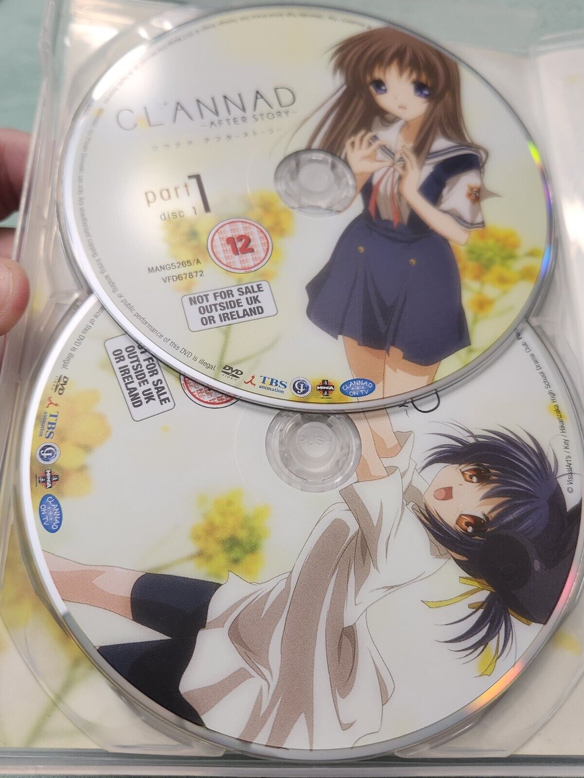 Clannad After Story Complete Series Collection [DVD]