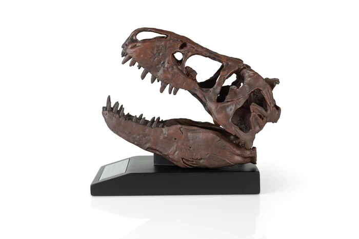 The Nation's T-Rex Skull Statue | 6-Inch Smithsonian Fossil