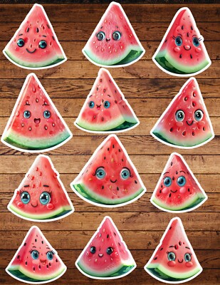 Happy Watermelon Slice Die Cut Vinyl Stickers Set Notebook Laptop Waterbottle 