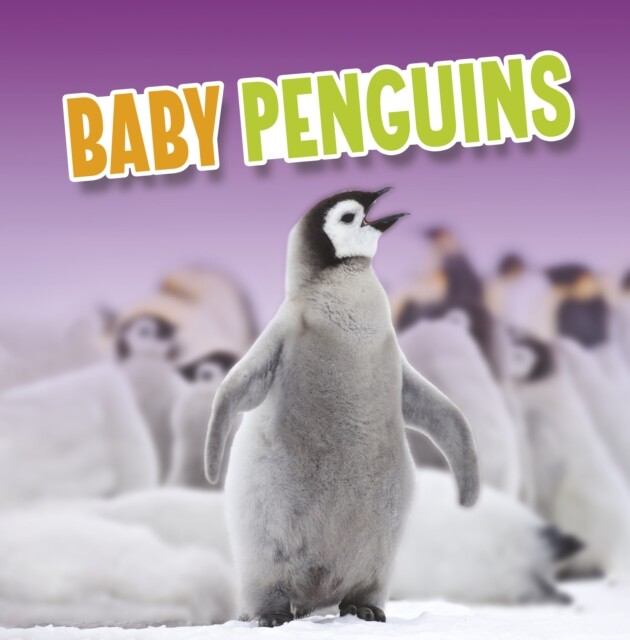Baby Penguins 9781398224018 Martha E. H. Rustad - Free Tracked Delivery
