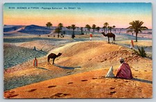 Saharan Landscape In The Sahara Desert North Africa Postcard Camels People