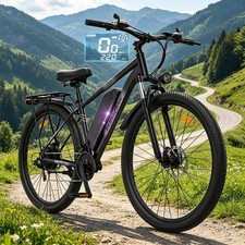 29 Zoll 48V 15AH Elektrofahrrad Herren 38KM/H E-Mountainbike 21-Gang 100KM