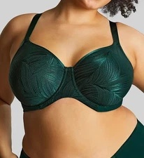Sculptresse by Panache DARK GREEN Illuminate Non Padded Bra, US 34K, UK 34H
