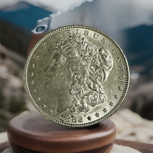 1882 P Morgan Silver Dollar $1 Uncirculated 90% Silver As Shown #MSD 1882-P USAS