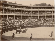 Photo Tirage Albuminé Arène Tauromachie Toreo Vers 1880