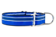 1" Martingale Collar for Dogs, Adjustable Nylon, USA Made, Medium, Blueberry