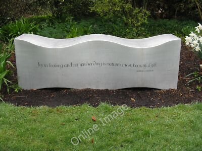 Photo 12x8 Einstein - nature lover Castle Douglas A quote from Albert Eins c2011