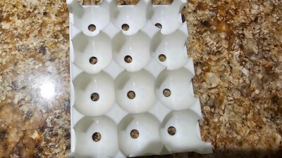 Reusable 3D Printed Egg Cartons (12 Pack) Strong and Durable