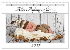 Calendar 2027 US Version All beginnings are small - baby calendar with Noah