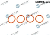 Dr.Motor Automotive DRM01757S Dichtungssatz, AnsaugkrüMmer FüR CitroËN