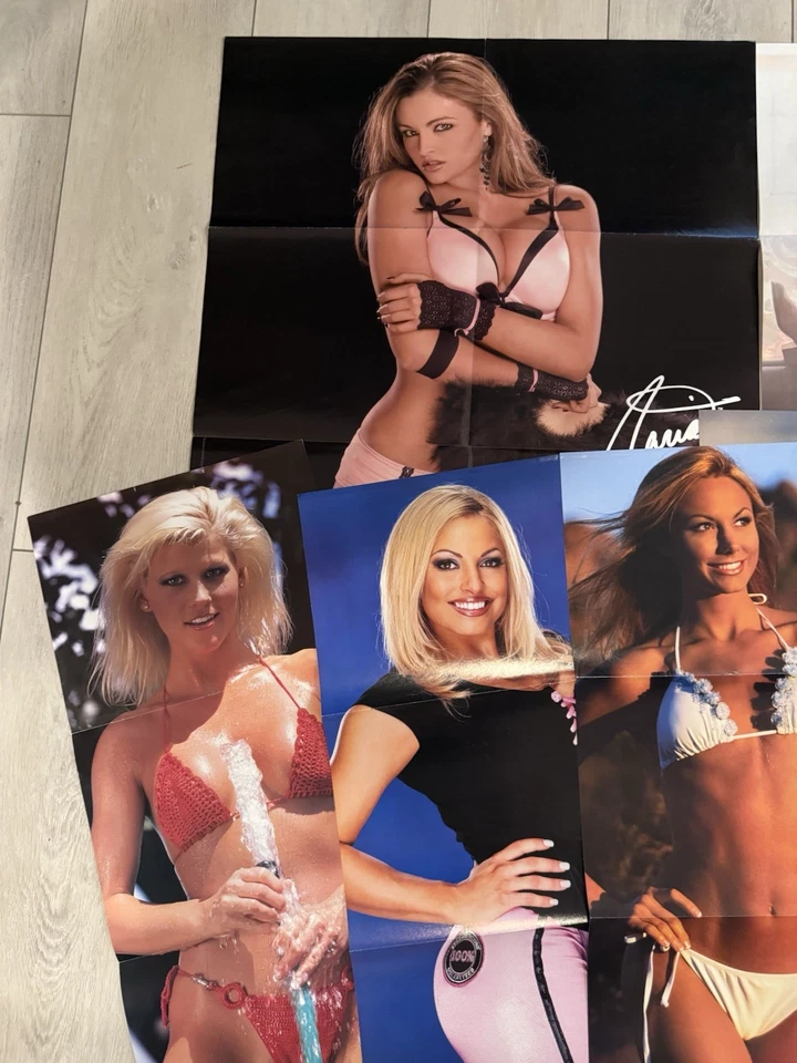 Lote de 10 pósters de WWE Divas de revistas WWF Trish Stratus Stacy Keibler Maria Foto 2 de 4