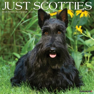 WILLOW CREEK PRESS Scotties 2026 12" x 12" Wall Calendar (free shipping)