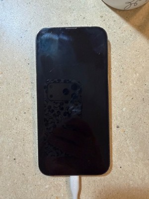Apple iPhone 13 Pro Max - 256 GB - Graphite (Unlocked)