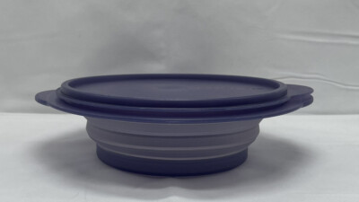 Tupperware Flat Out Collapsible 4 Cup Purple Container Bowl 5455 5453