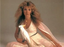 Stevie Nicks Young Posing With Bird  8x10 Picture Celebrity Print