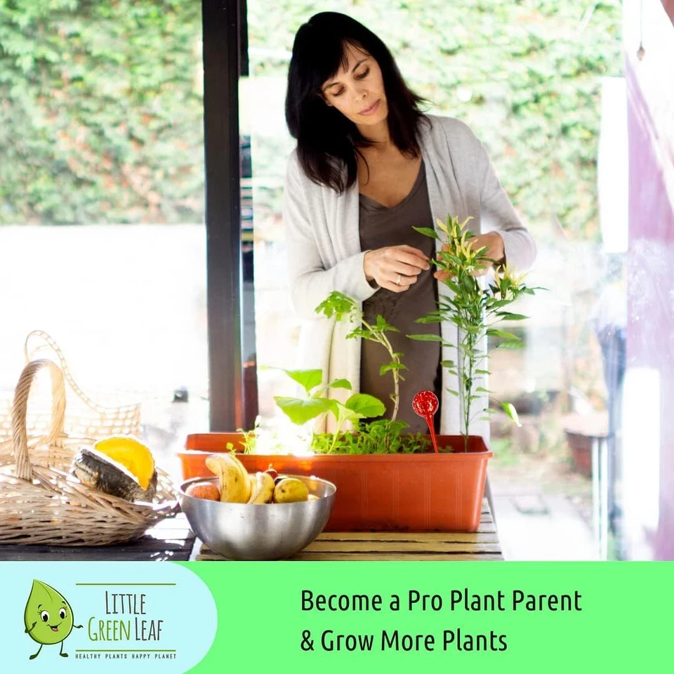 Globos de riego de plantas Lgl 4 piezas. Insertos decorativos para maceta auto riego Mad Foto 4 de 4