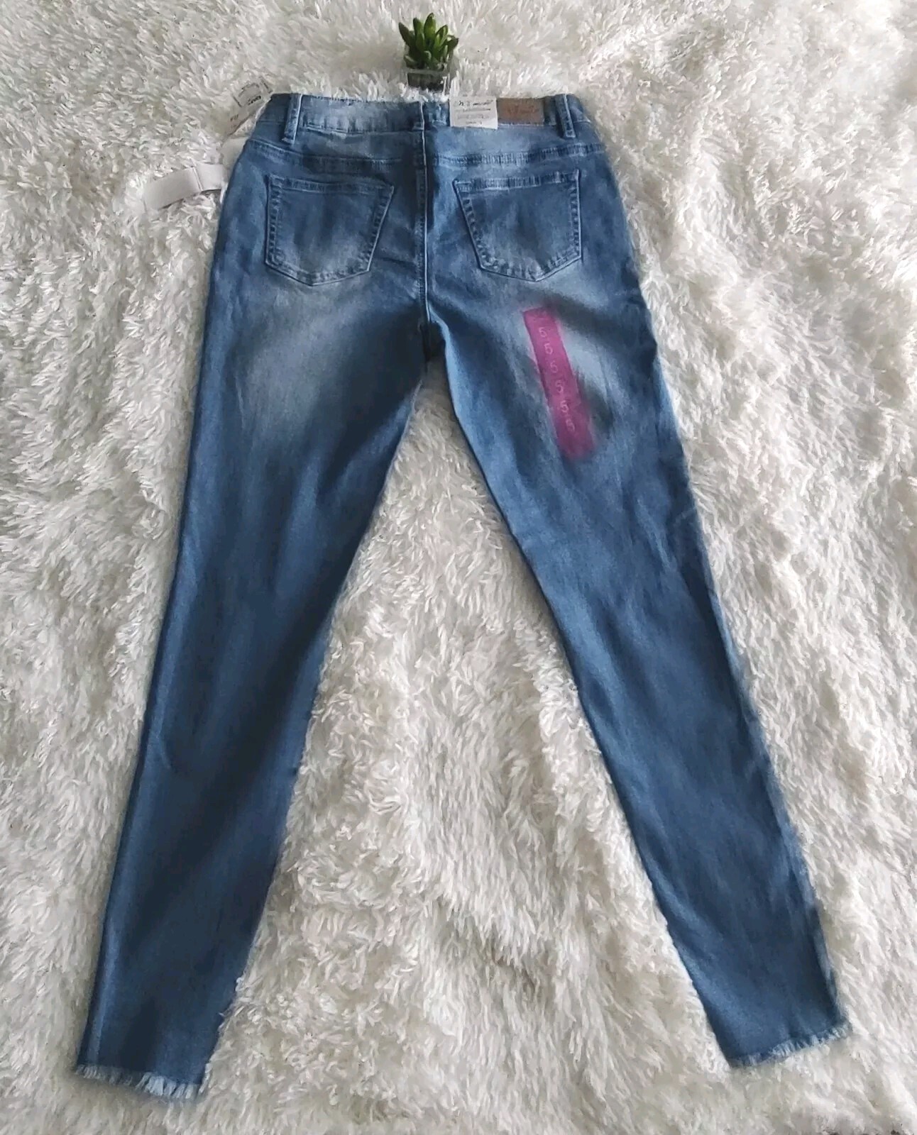 Picture 5 of 12