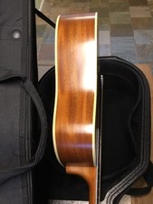Seagull Godin Artist Mosaic Element Acoustic Guitar-Excellent Rarely Used