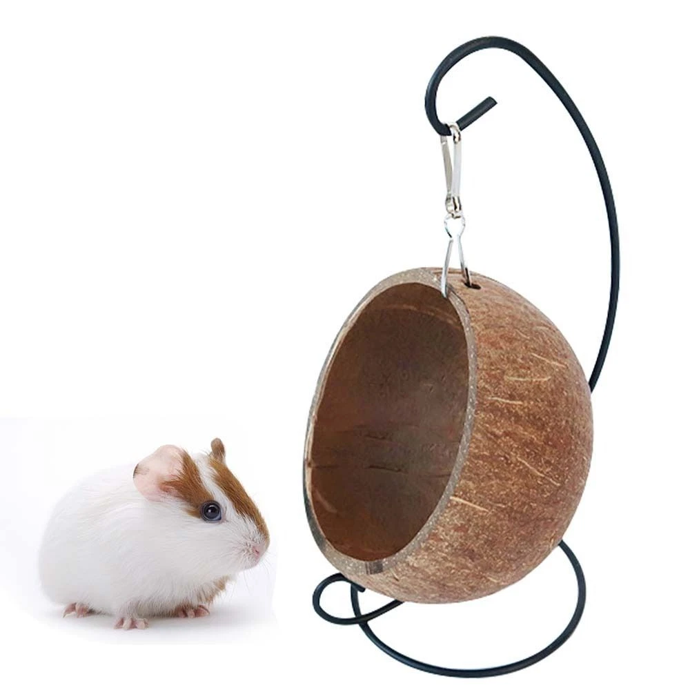 Ebay guinea pig clearance accessories