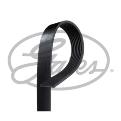 GATES Keilrippenriemen passend für Jeep Grand Cherokee II FORD USA Expedition