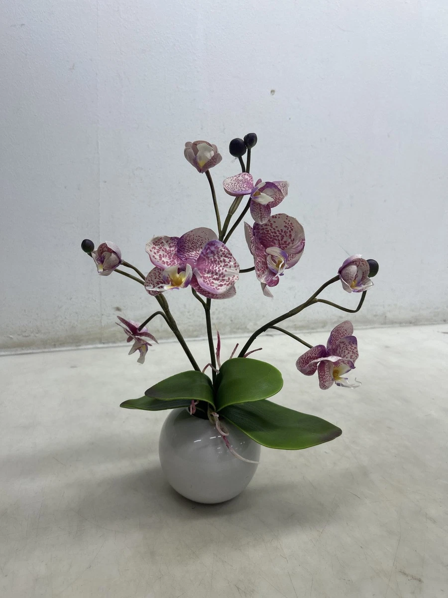 2 Orchidee Artificiali Nere In Lattice 38 Cm – Piante Finte Phalaenopsis, Realistiche Al Tattoo, Per Casa E Matrimoni - 4