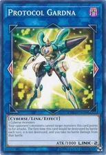 Protocol Gardna - CHIM-EN038 - Common - Unlimited Edition - Near Mint