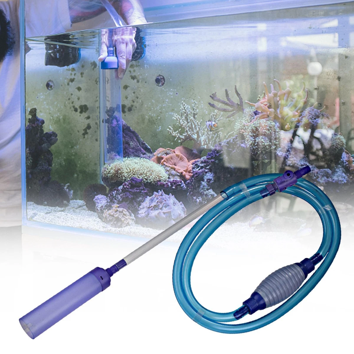 Sand cleaning fish freshwater sales