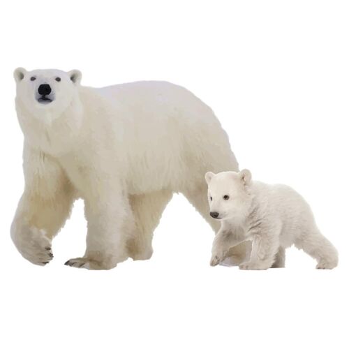 SUPERDANT Polar Bear Wall Sticker Realistic 3D Bears Wall Decals Jungle Anima...