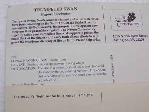 Rare Collectible Postage Stamp – Intricate Detailing, Strong Color Contrast - Picture 2 of 2