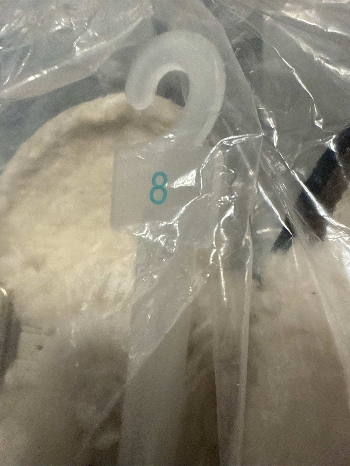 Auden Womens Jane Two Band Buckle Slide Slippers Cream Off White 8M thumbnail 4