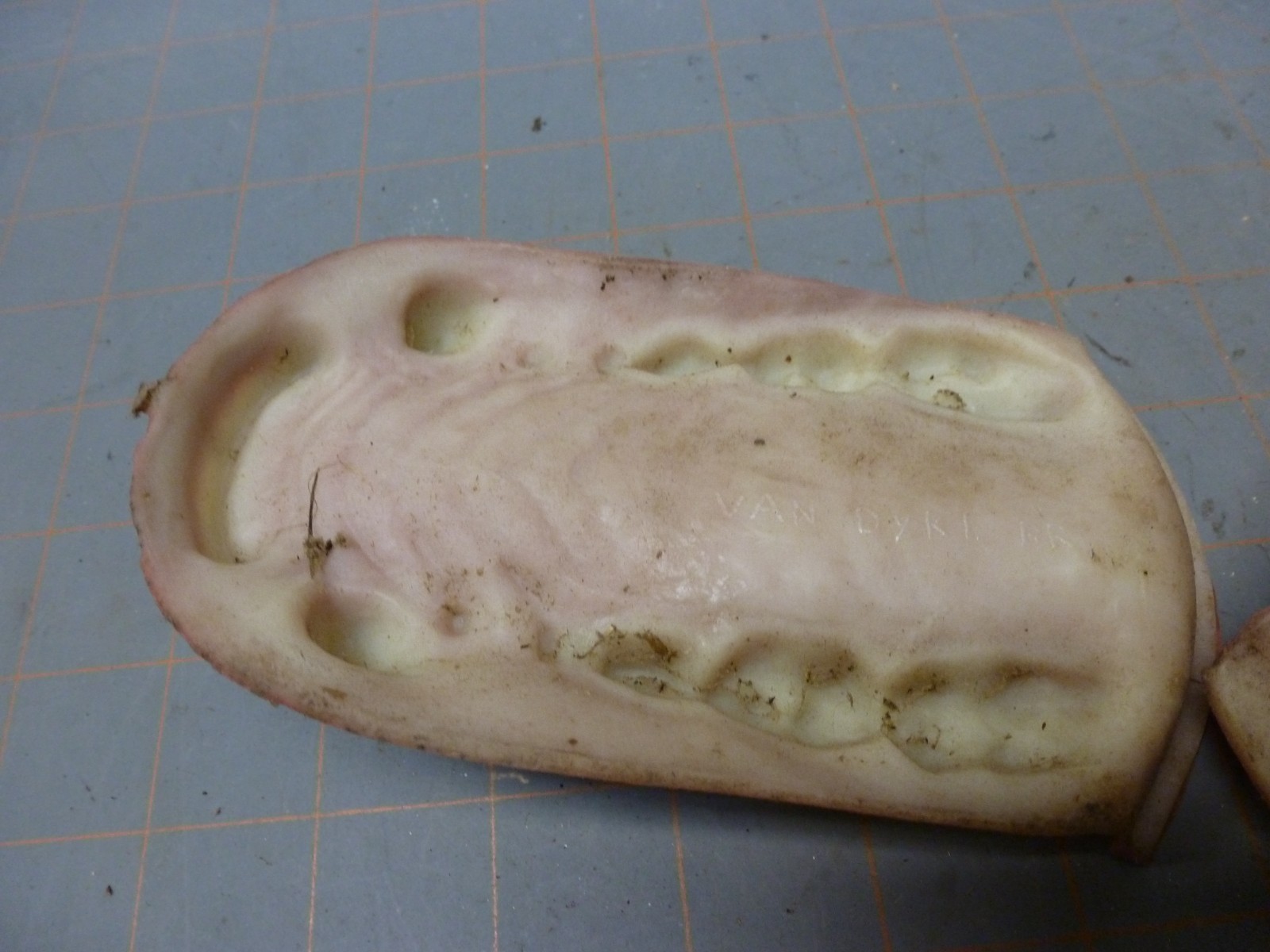 70's Black or Brown Bear Jawset Tongue for Open Mouth Head TAXIDERMY FORM M-BR-3