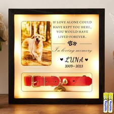 Pet Memorial Picture Frame Dog Collar Shadow Box 10"x10", Sympathy Remembranc...