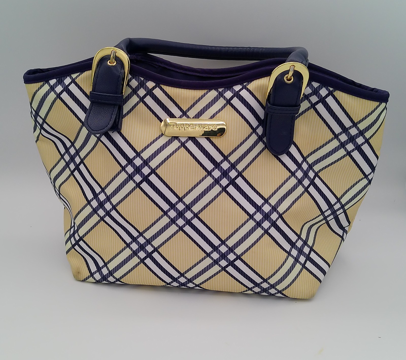 Tupperware Lunch Bag