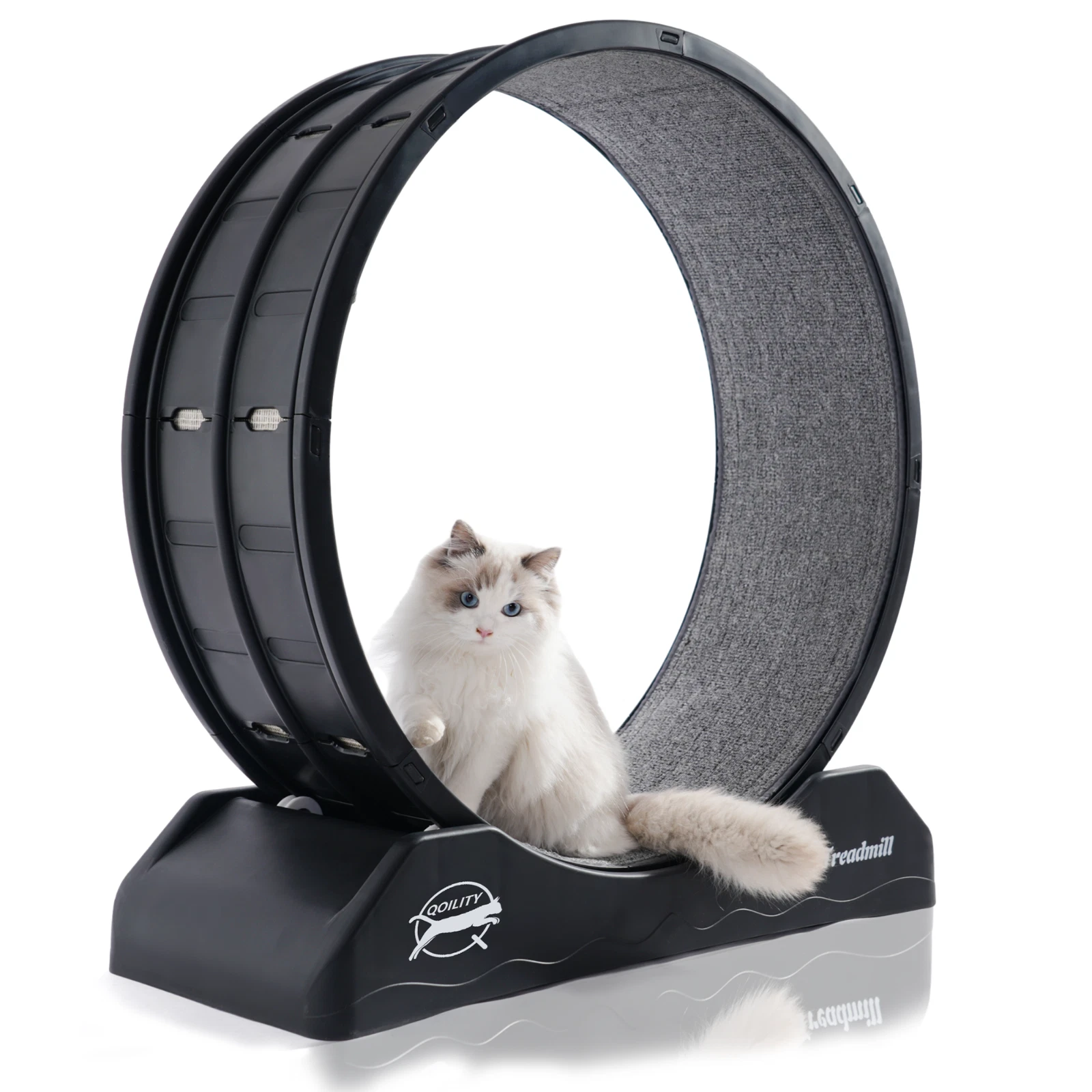 Black Indoor Cat Exercise Wheel Easy to Install Cat Wheels Suitable for Most Cat
Opens in a new wind