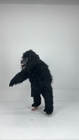 Video 1 von 1