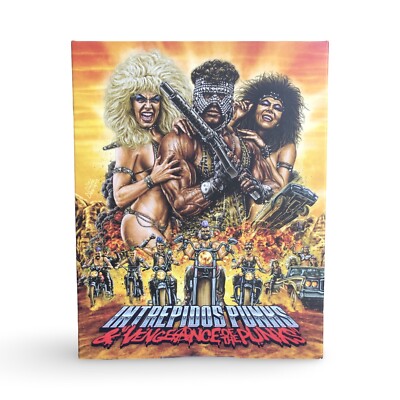 Vinegar Syndrome INTREPIDOS PUNKS / VENGEANCE OF THE PUNKS Blu-ray Slipcover