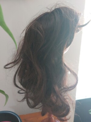 Ancienne perruque de poupée,cheveux naturels,taille 2,Jumeau,Steiner