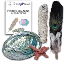 COMPLETE SMUDGE KIT ABALONE SHELL STAND SAGE BLACK FEATHER BAD ENERGY CLEARING 