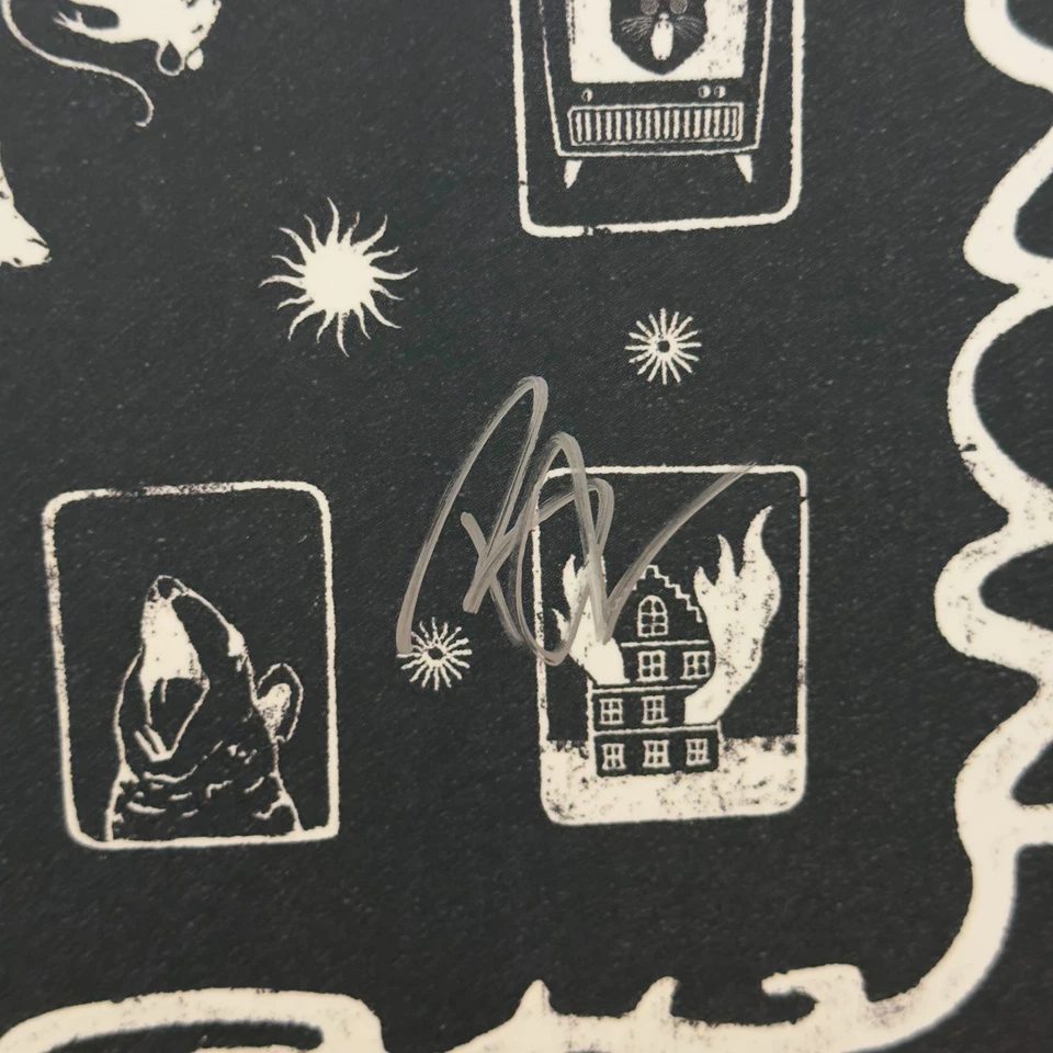 Of Monsters and Men All Is Love and Pain in the Mouse Parade 2LP Olive Signed Foto 3 de 4