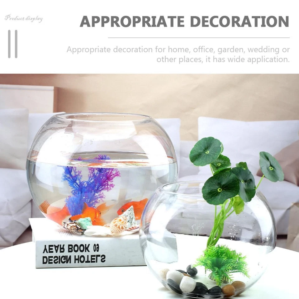 Fischgläser Fische Akvariom Vase Glas Desktop -Fischtank Fischaquarium - Bild 4 von 4