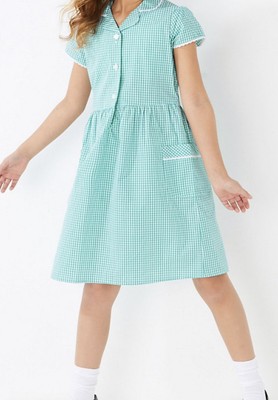 plus fit gingham school dress