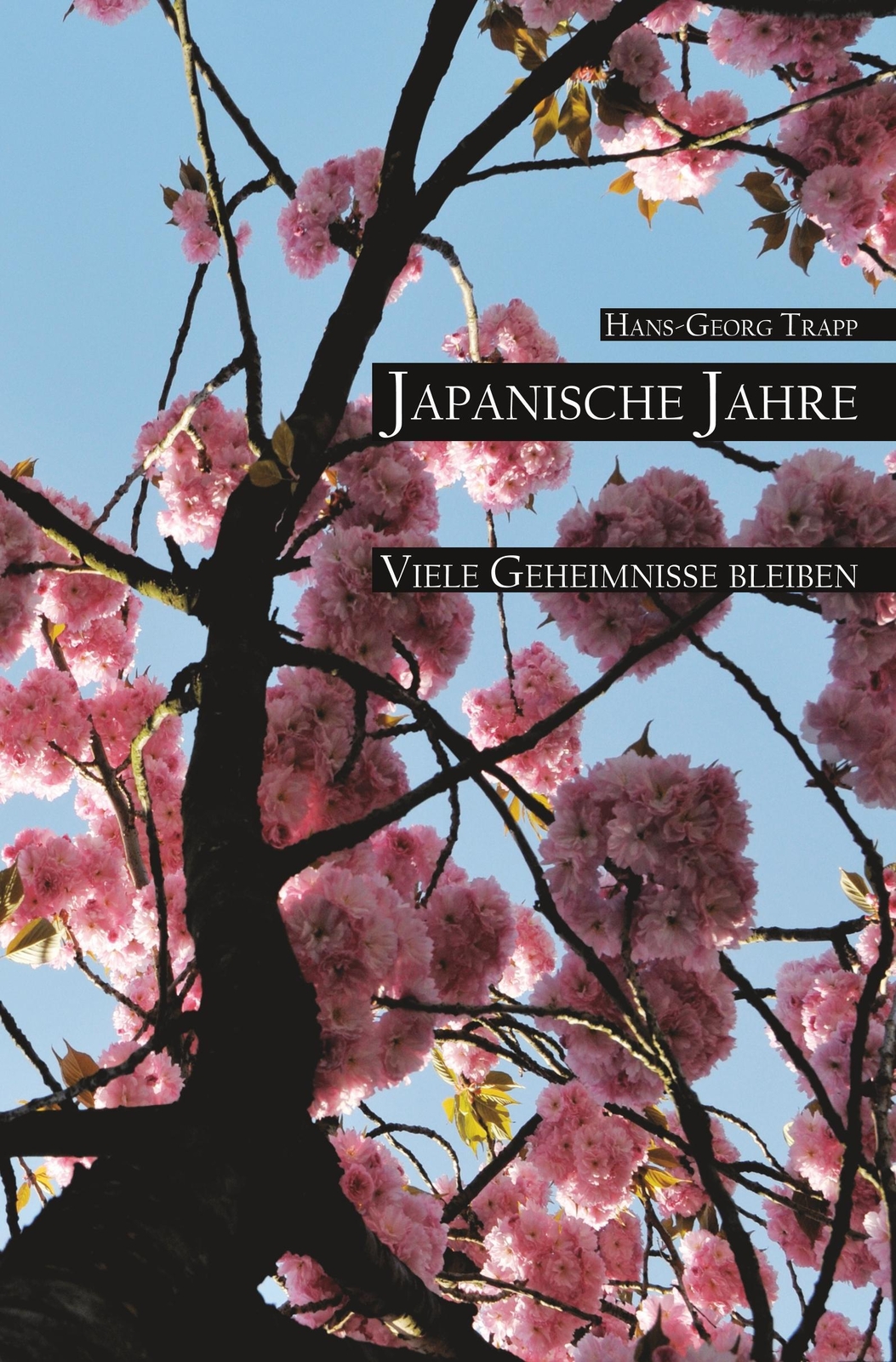 Thumbnail - Japanische Jahre Hans-georg Trapp Taschenbuch Paperback 168 S. Deutsch