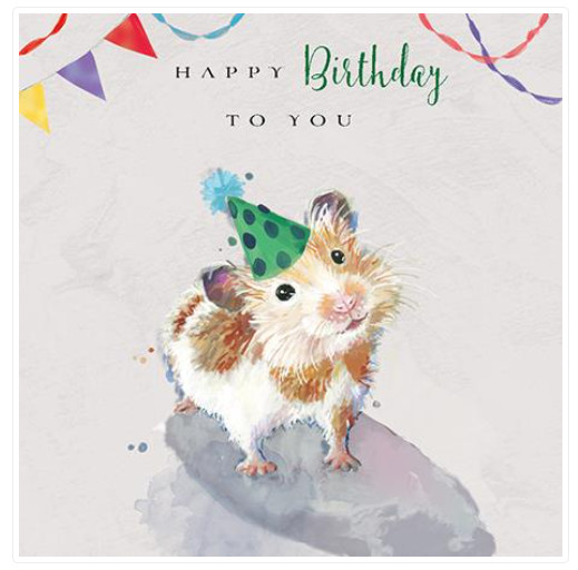 Birthday Card HAMSTER HAMSTERS. CUTE Gorgeous design, quality greeting card.