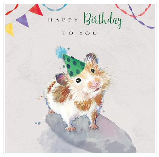 Birthday Card HAMSTER HAMSTERS. CUTE Gorgeous design, quality greeting card.