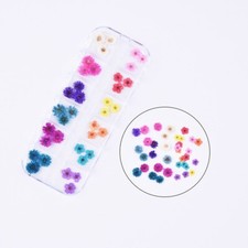 36PCS Real Pressed Dry Mixed flowers collection, 12 colors FCD504 12