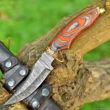 8'' Handmade Damascus Steel Hunting/Camping Sharp Skinner Knife with Sheath