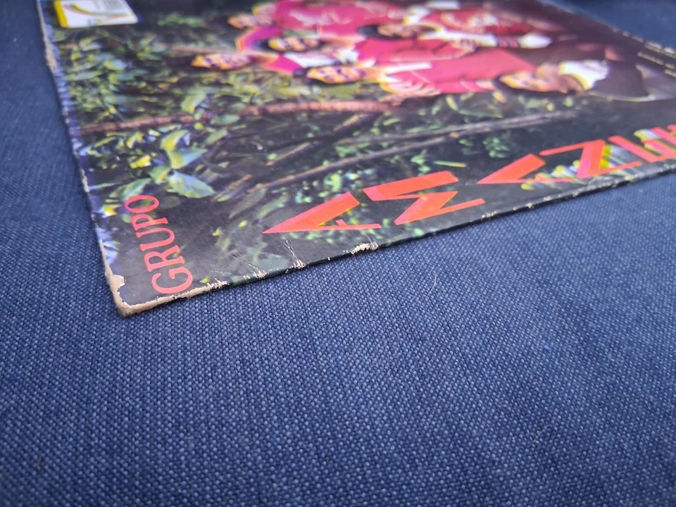 Grupo Amanecer Viva Spanish Latin Mexican Import Vinyl Record LP  - Image 4 of 4