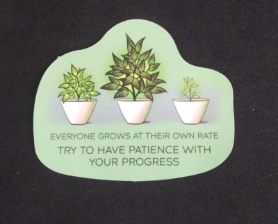 Everyone Grows At Their Own Rate Encouragement Sticker 2'' x 2.5'' (T)