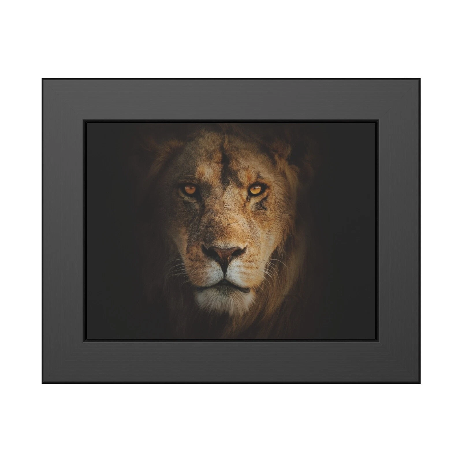 Art Deco Animales enmarcado afiches y grabados de decoración para el Hogar